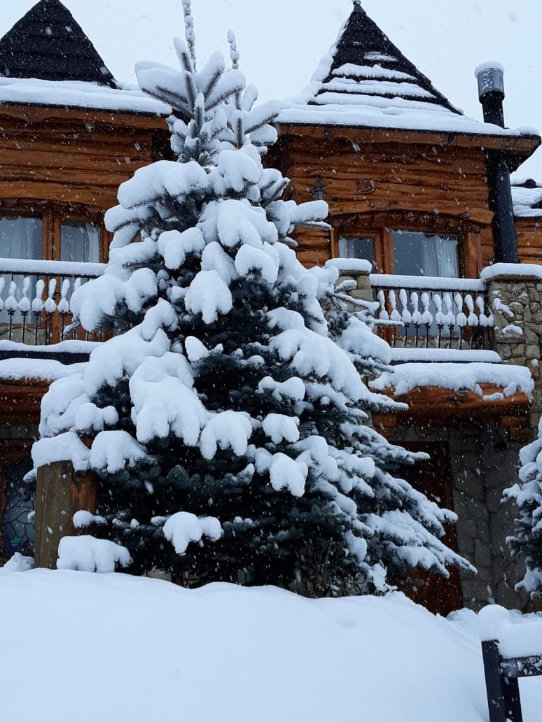 Fachada de la cabaña detrás de un pino nevado